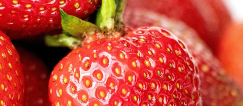 Jardinage au Congo : guide pour cultiver des fraisiers