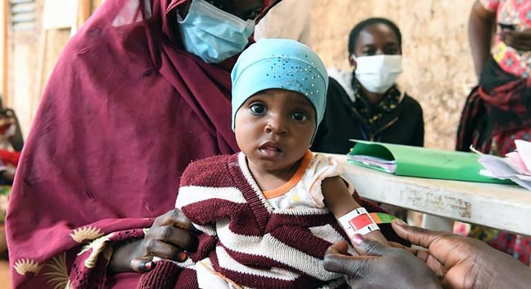 Crise alimentaire en Afrique : la RDC face à des menaces multiples, le gouvernement agit